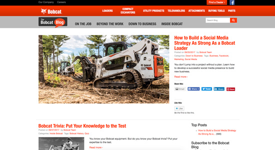 Bobcat Blog